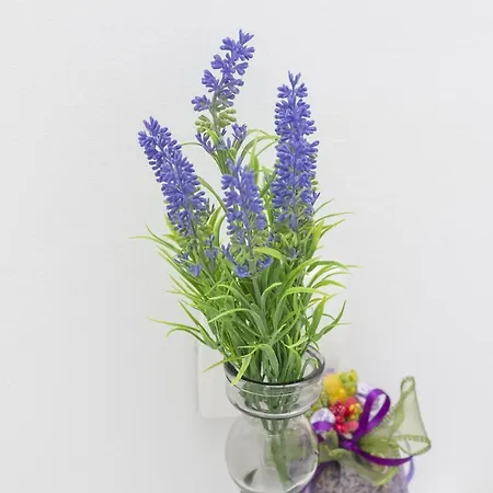 شقة Rafaello دوبروفينك