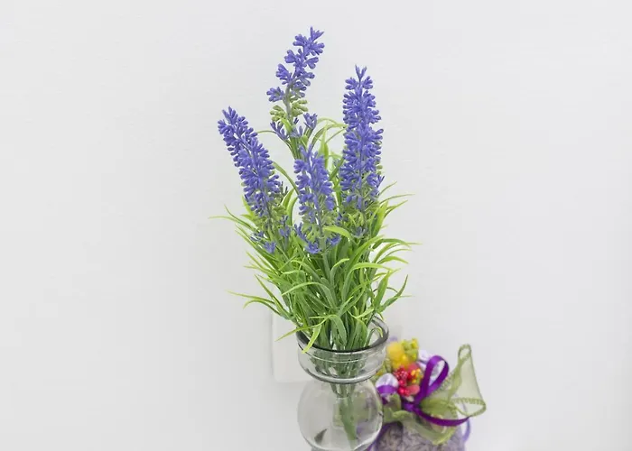 شقة Rafaello دوبروفينك